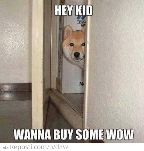 Hey Kid