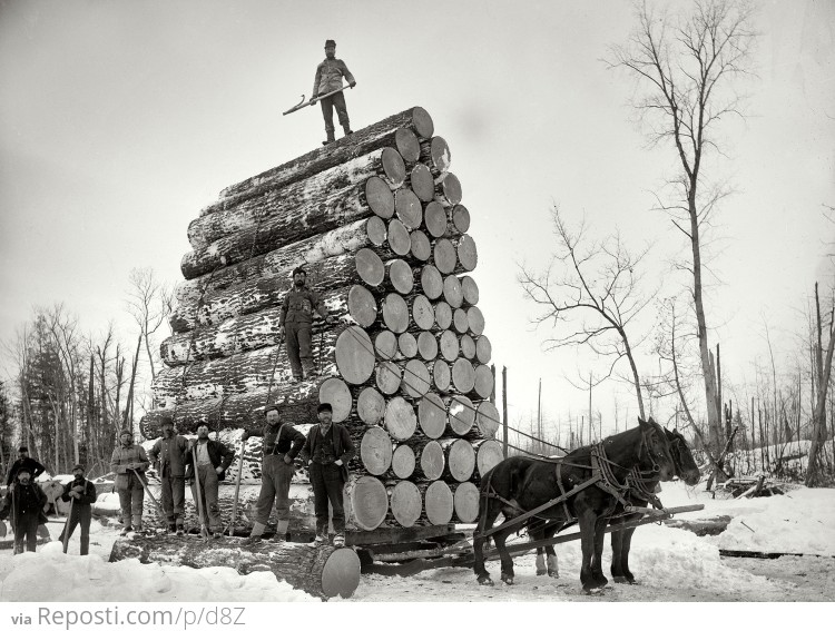 Michigan Loggers