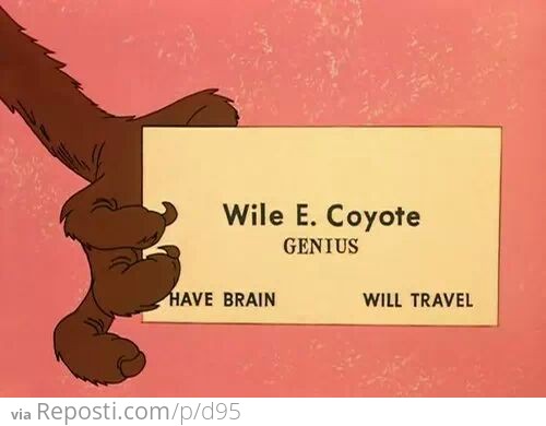 Wile E. Coyote - Genius