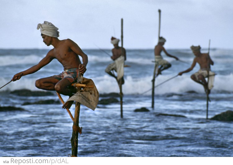 Fishermen of Rajasthan