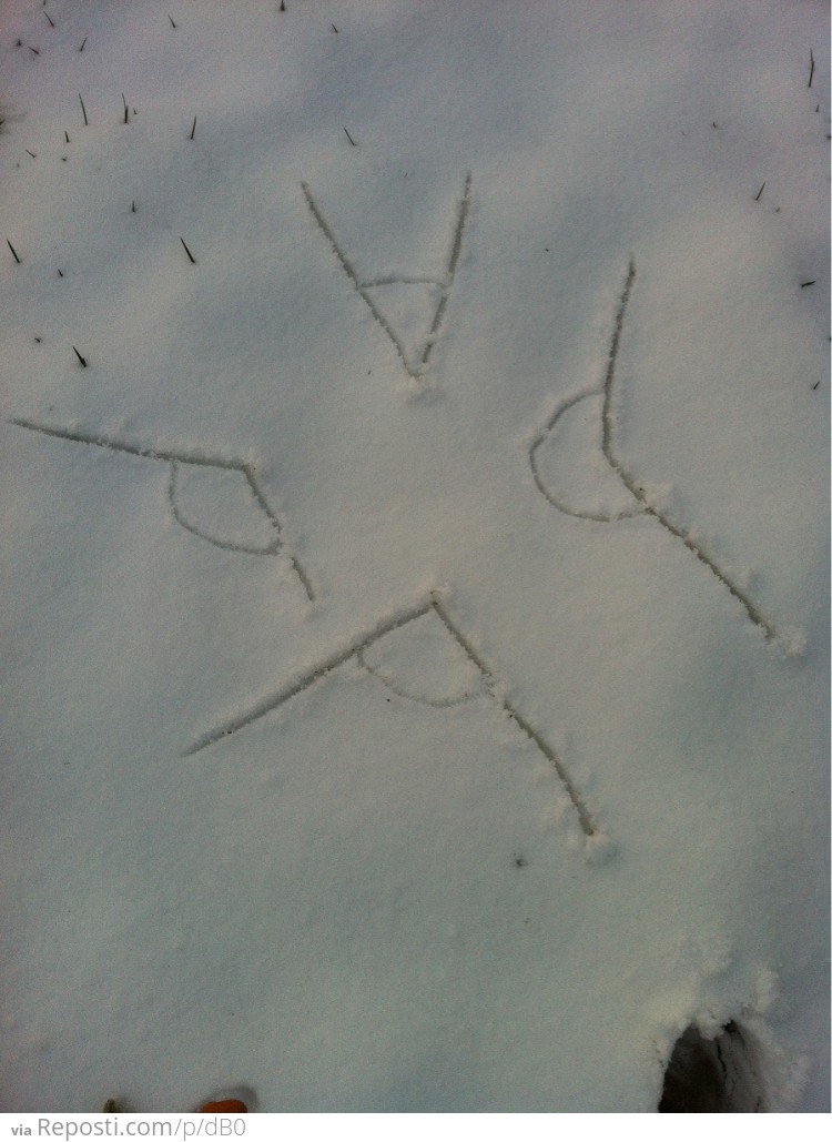 Snow Angles