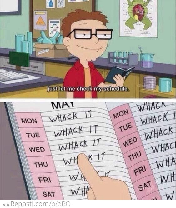 My Schedule