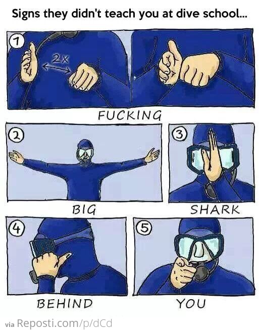 Signs they didn't teach you at dive school