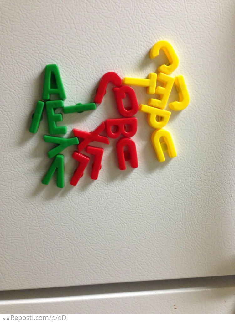 Fridge Magnets