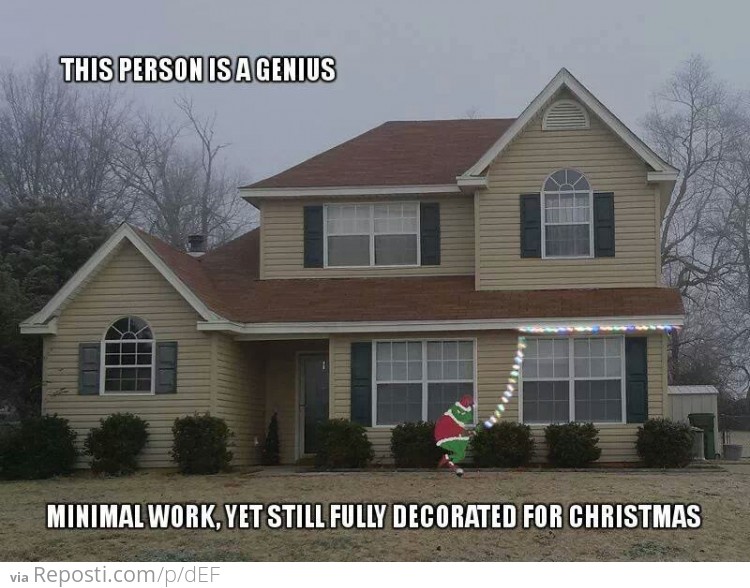 Christmas Genius