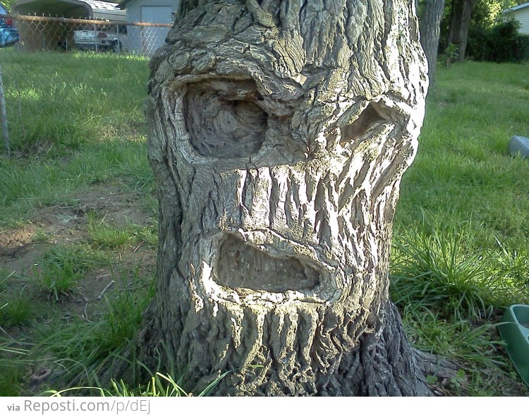 Grumpy Tree