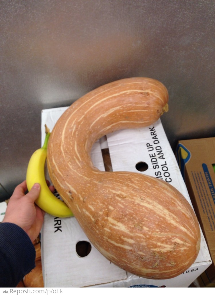 Big Squash