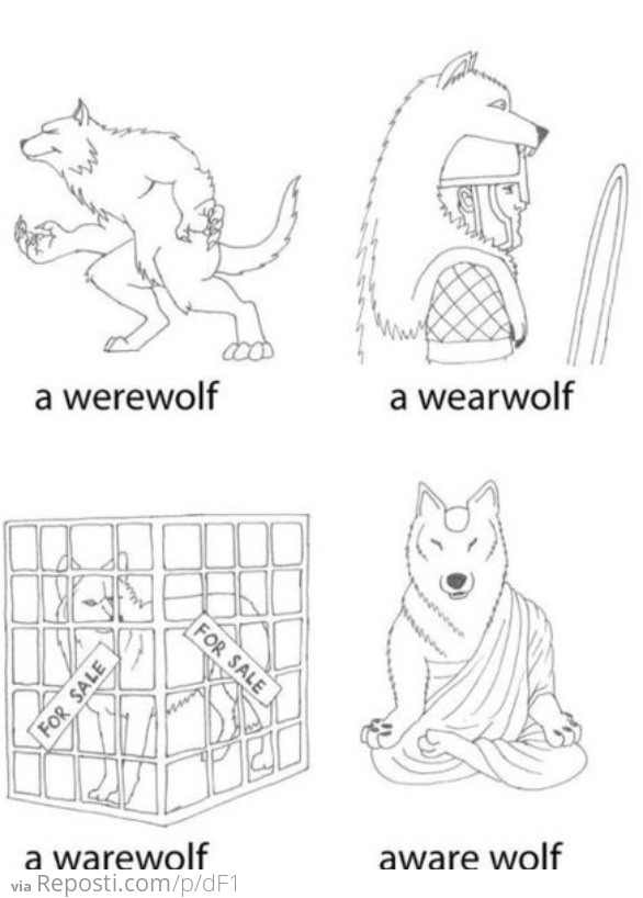 Types of Wolves