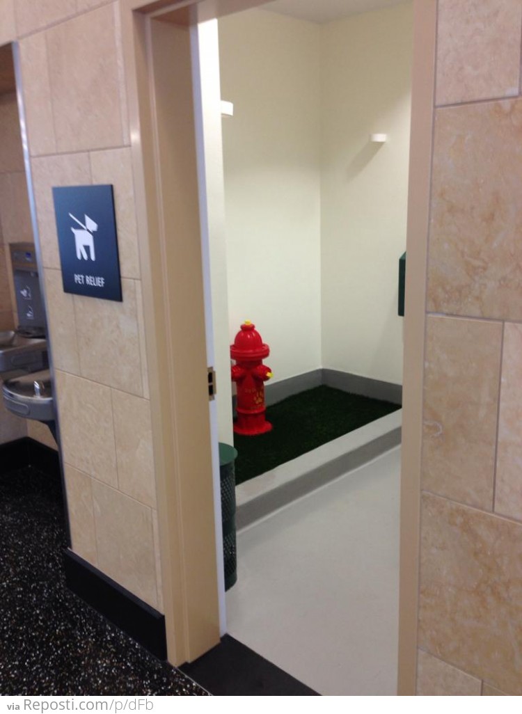 Bathroom for Dogs