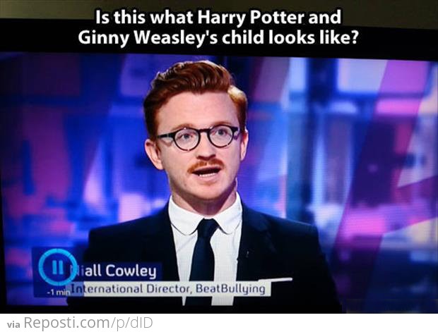 Harry Potter + Ginny Weasley