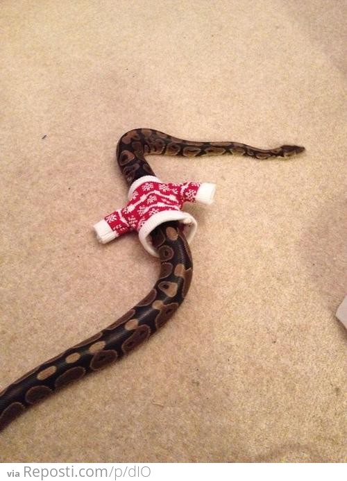 Snake Christmas Sweater