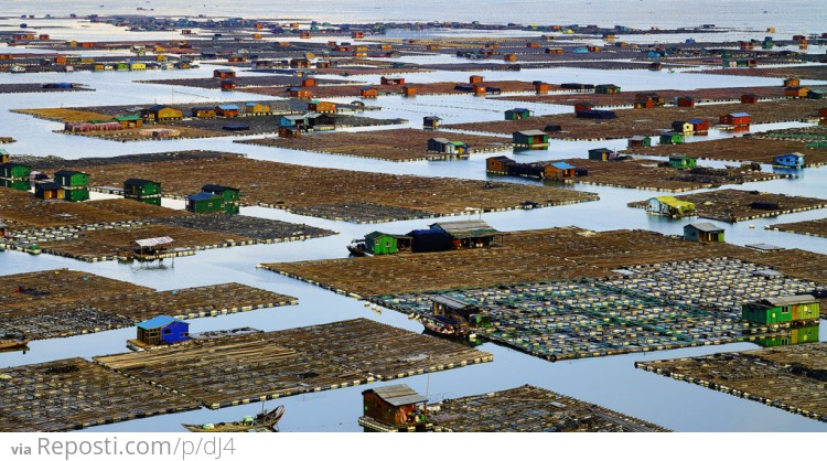 Fishing Village in China