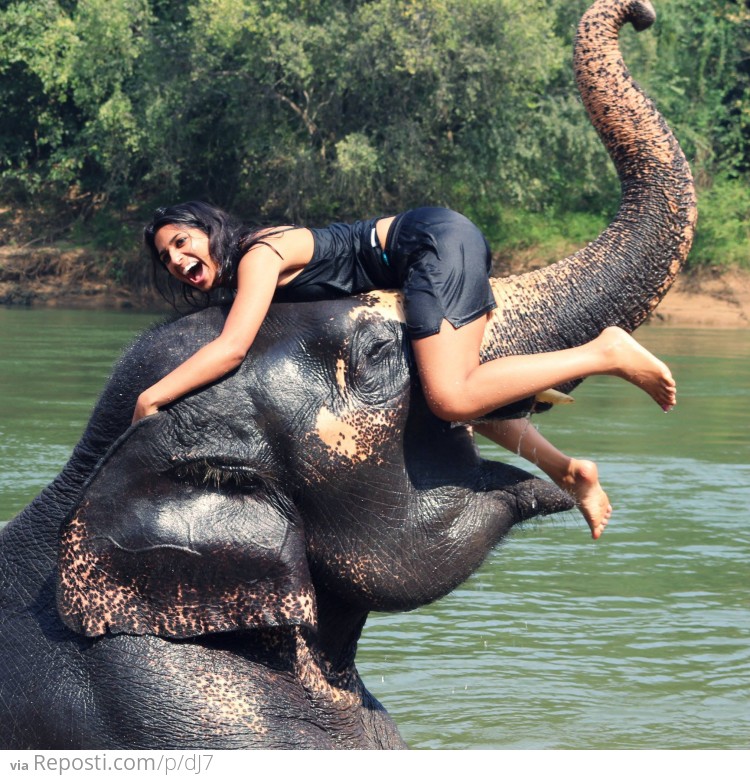 Playing with an elephant in Thailand