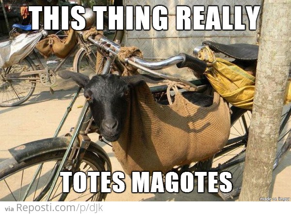 Totes Magotes