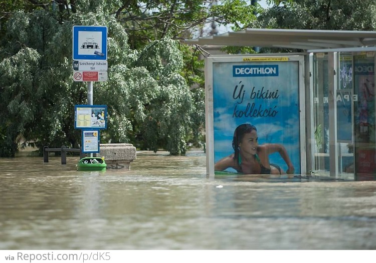 Surfin' The Floods