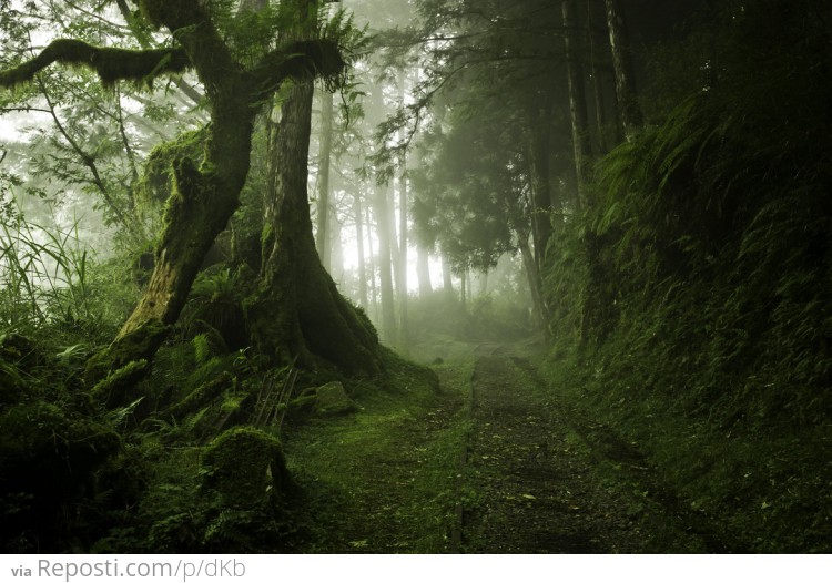 Abandoned Tracks