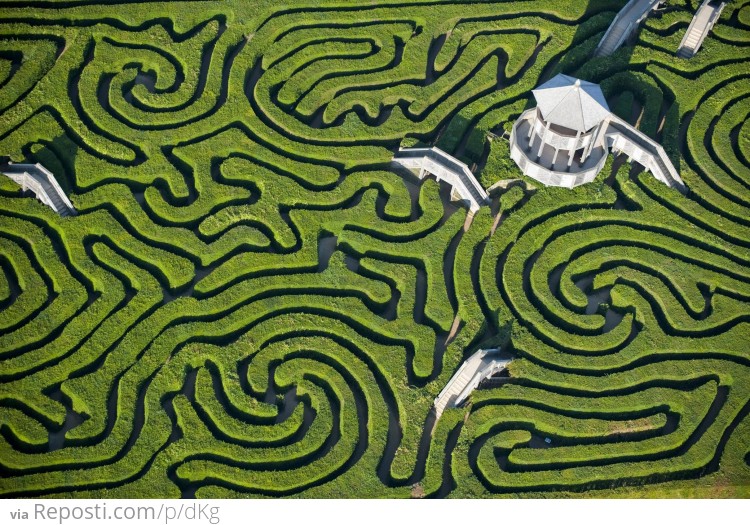 Maze