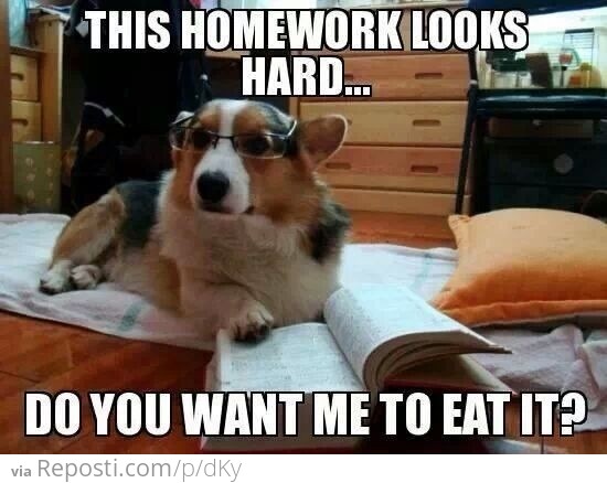 The Dog Ate My Homework