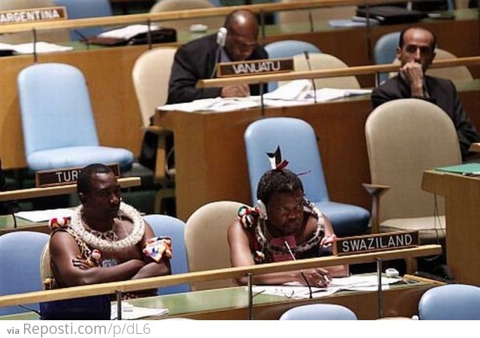 Swaziland at the U.N.