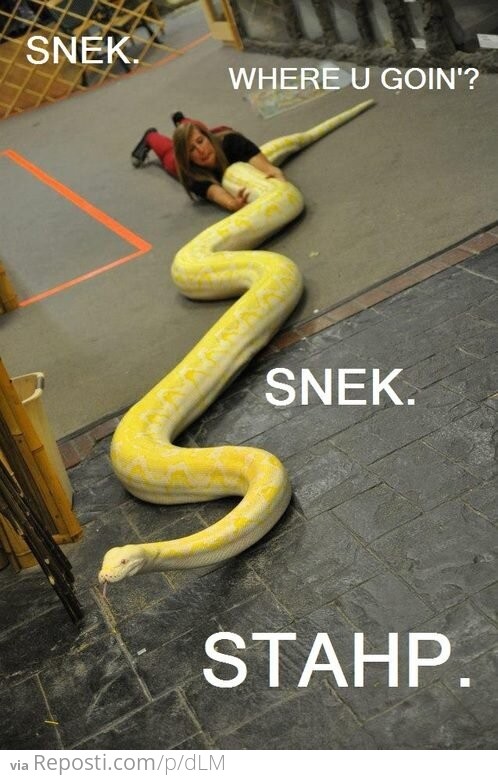 SNEK