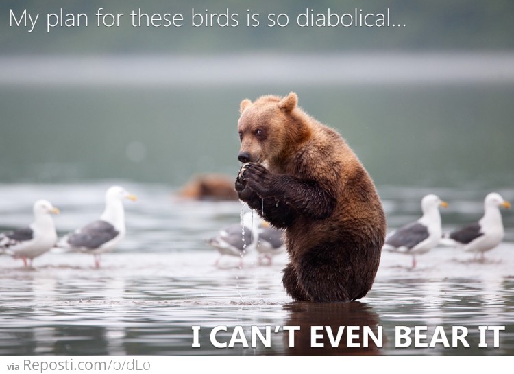 Diabolical Bear Is Diabolical