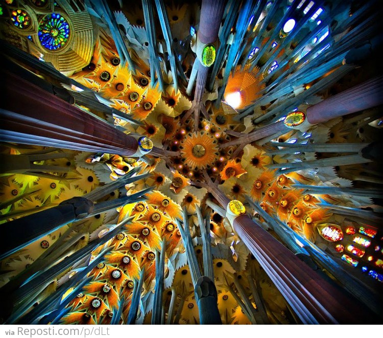 Ceiling of Sagrada Familia, Barcelona