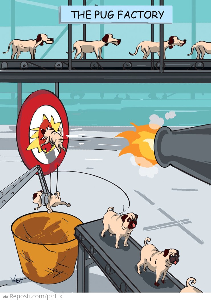 The Pug Factory