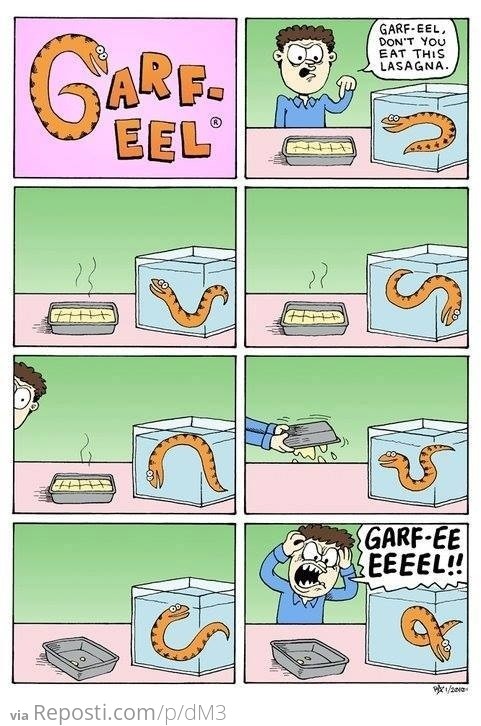 Garf-Eel