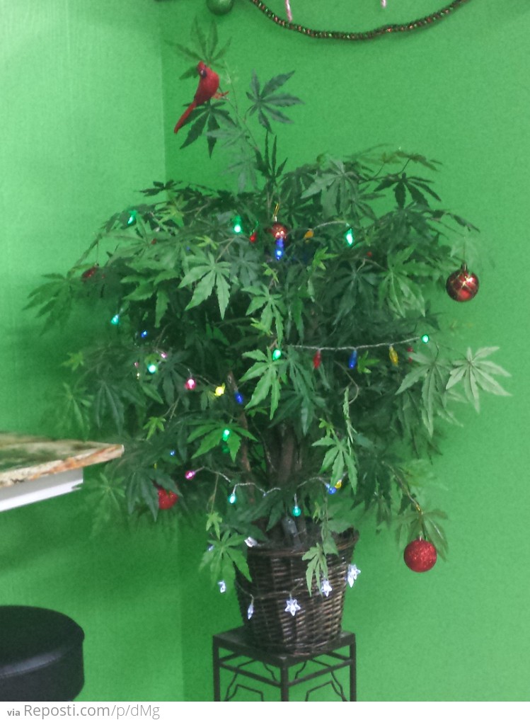 Weed Christmas Tree