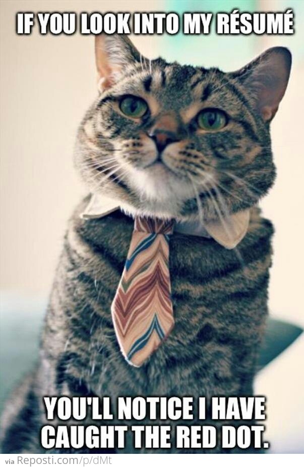 Cat Resume