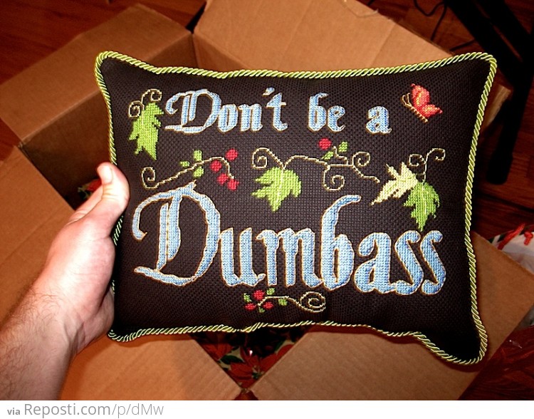 Don't be a Dumbass Pillow