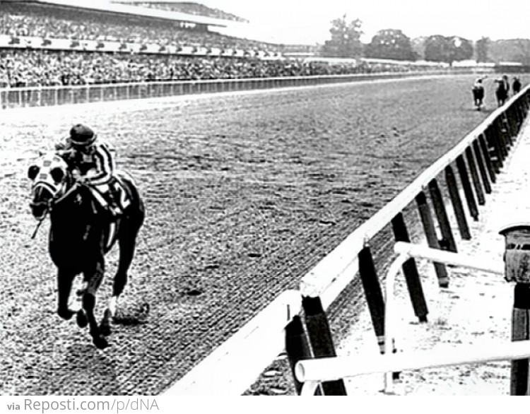 Secretariat