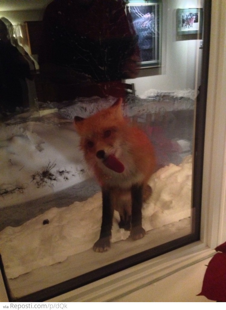 Firefox encountered a problem with Windows