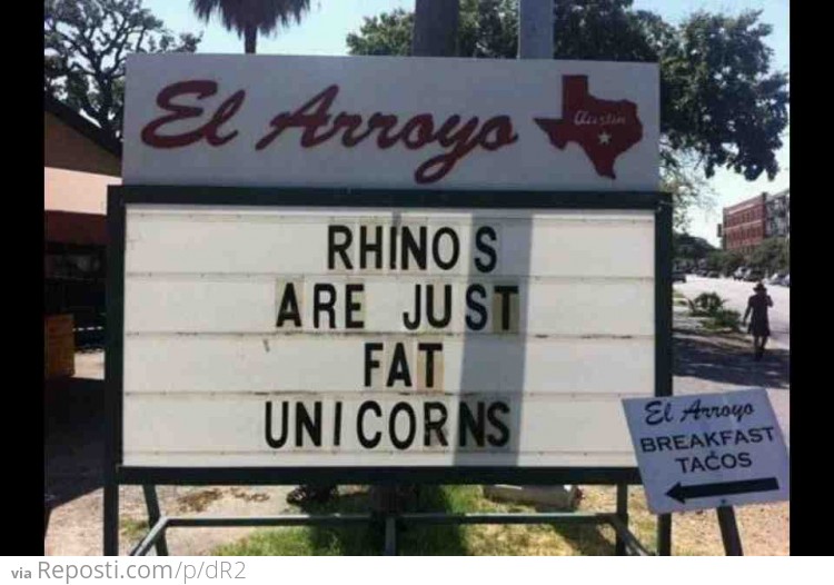 Rhinos