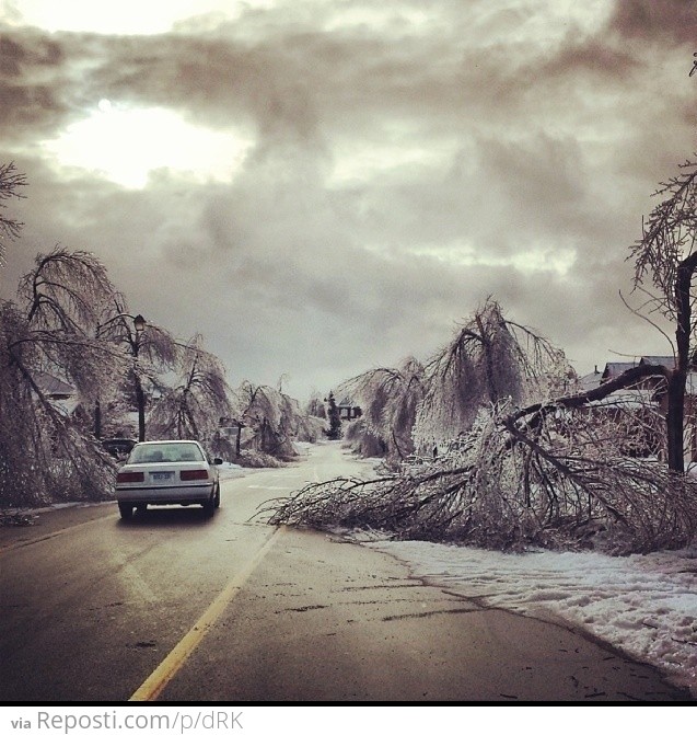 2013 Toronto Ice Storm