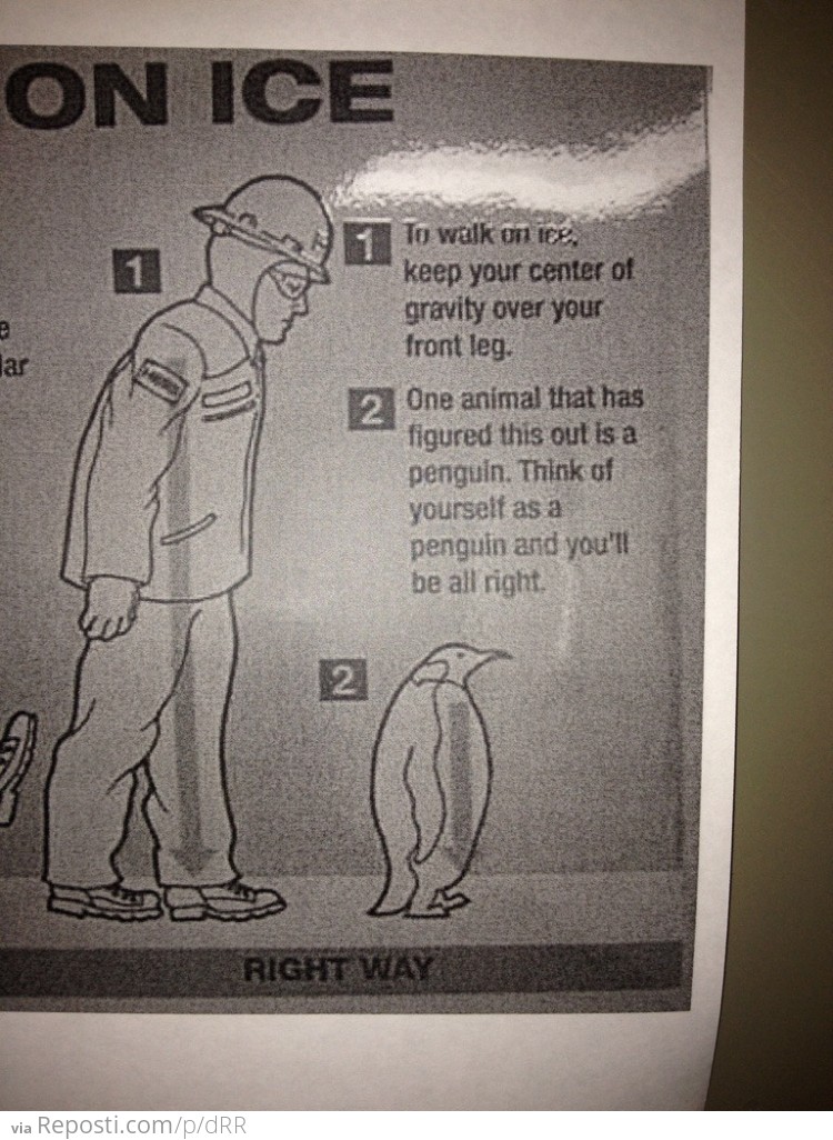 Walk Like A Penguin