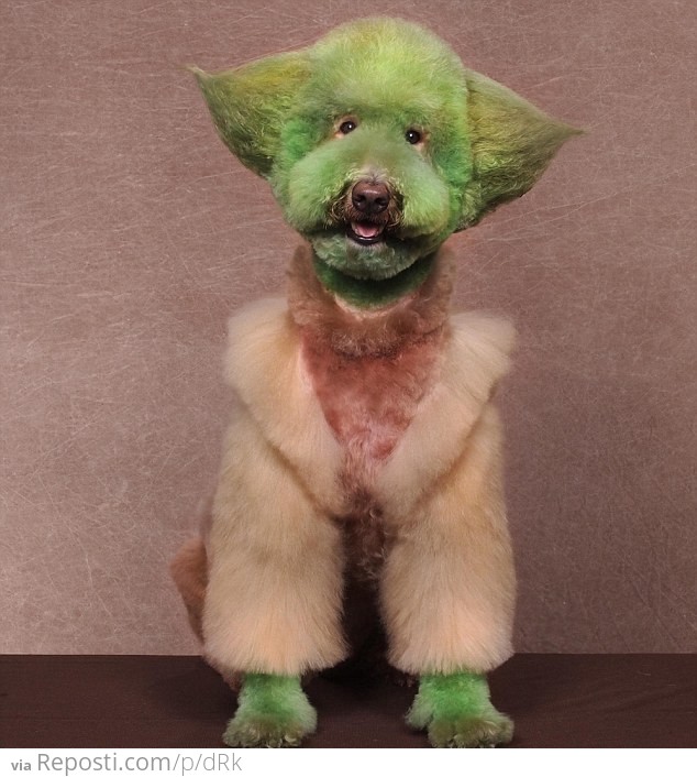 Yoda Dog