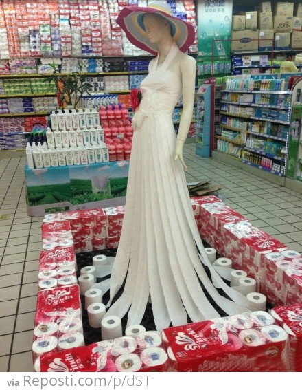 Toilet Paper Display