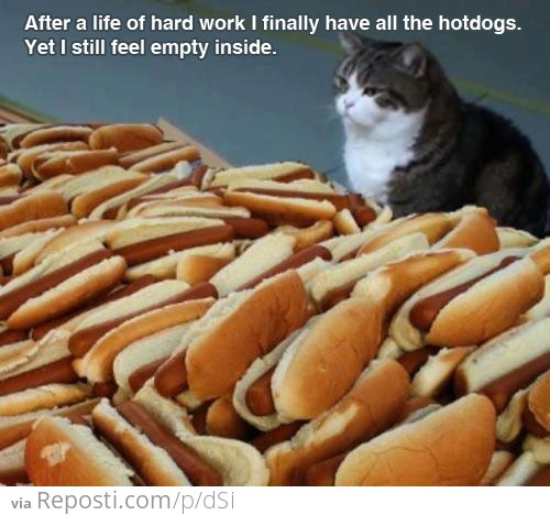 Hot Dog Cat