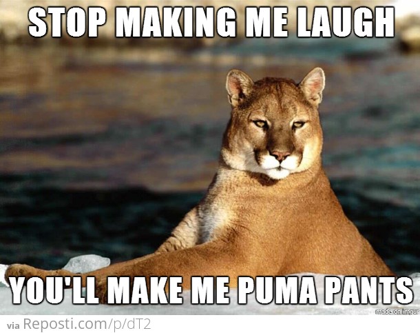 Bad Pun Puma