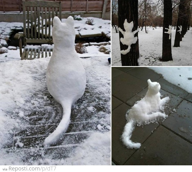 Snow Cats