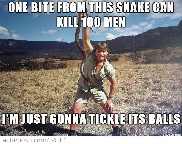 Steve Irwin