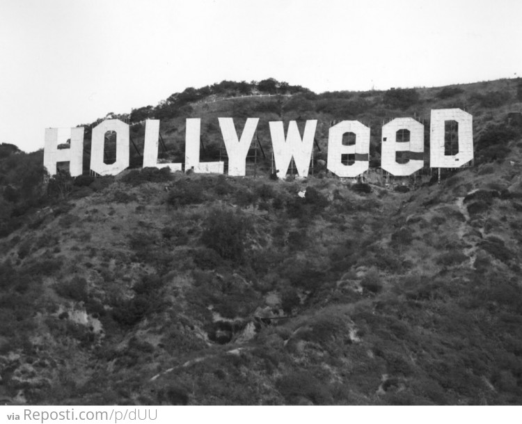 Hollyweed