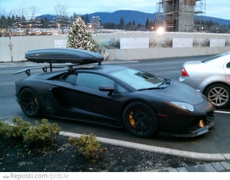 Hey, let's go camping in my Lamborghini