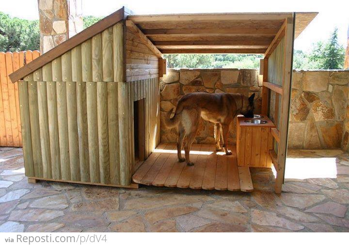 Impressive Dog House