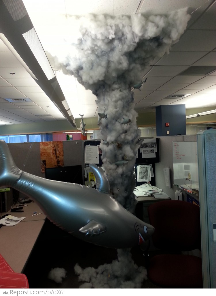 Cubicle Sharknado