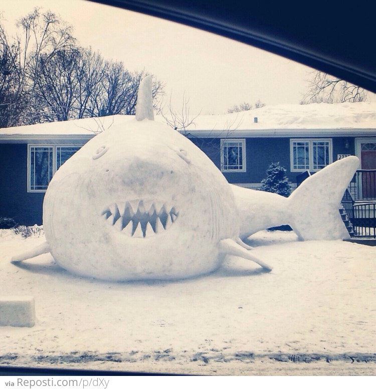 Snow Shark