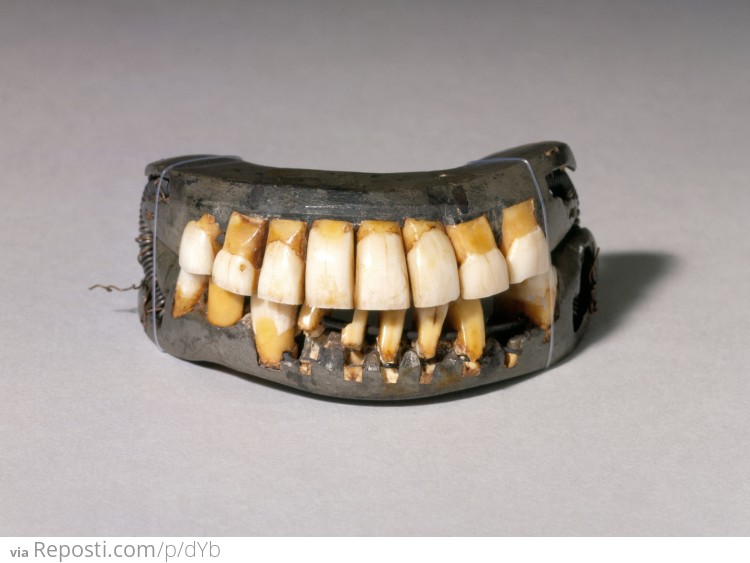 George Washington's False Teeth