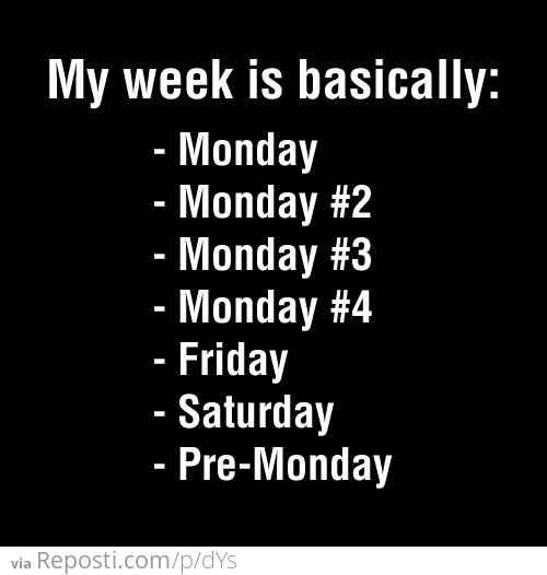 My Week