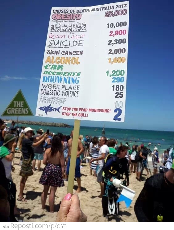 Shark Attack Statistics